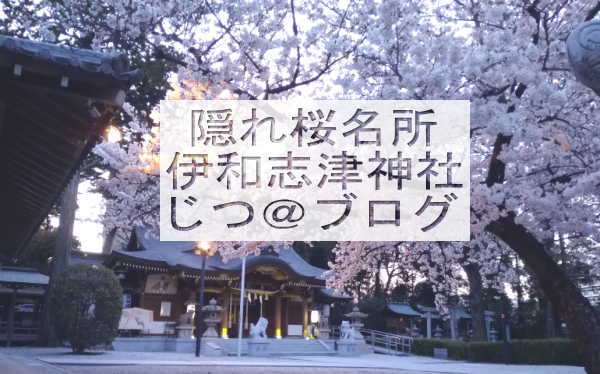 伊和志津神社は隠れた桜の名所